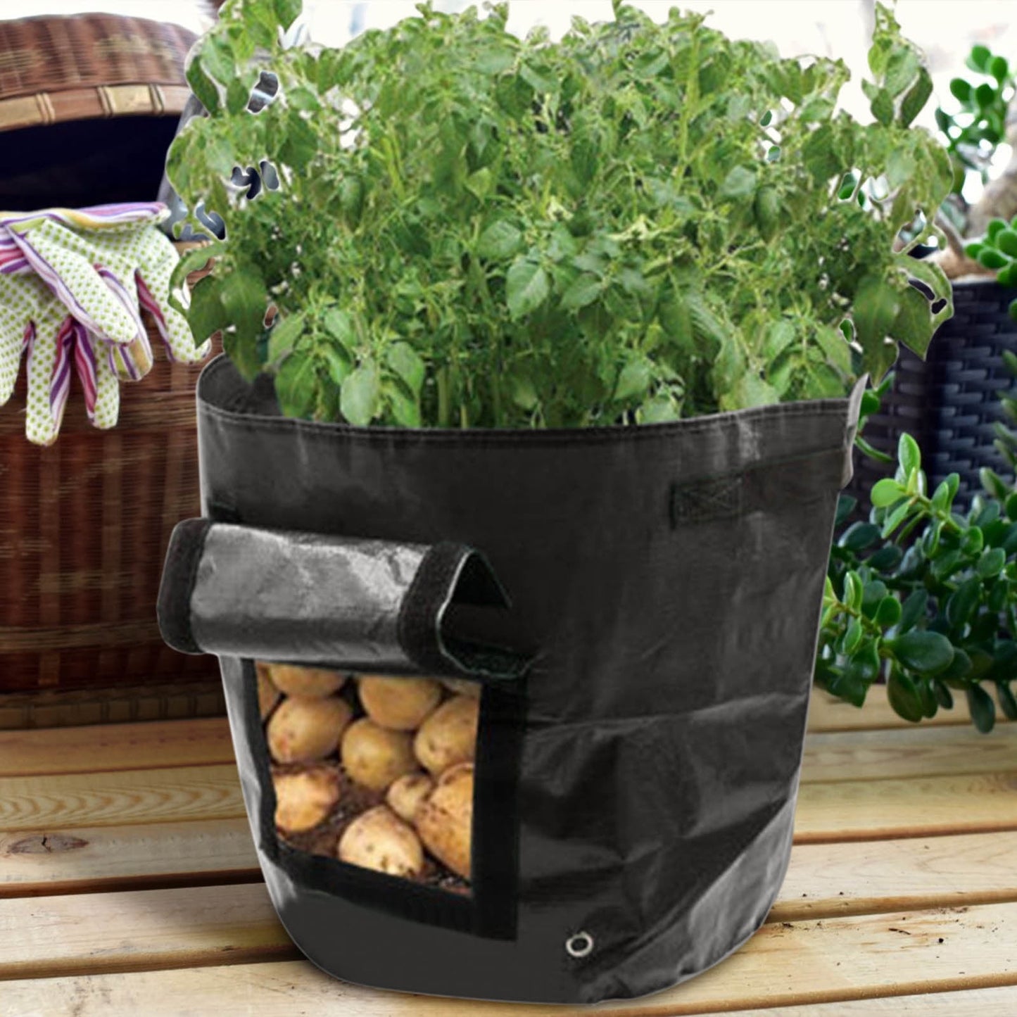Suncoda Summer Savings 34x35cm Potato Grow Bag with Side Window & Handles 14" x 20" Orange#4