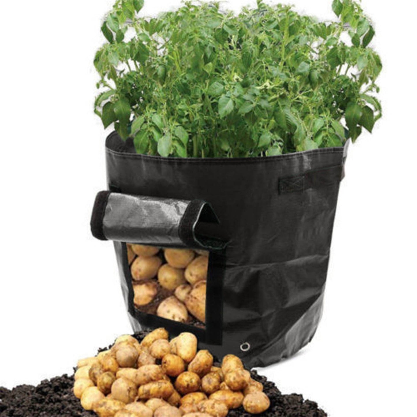 Suncoda Summer Savings 34x35cm Potato Grow Bag with Side Window & Handles 14" x 20" Orange#4