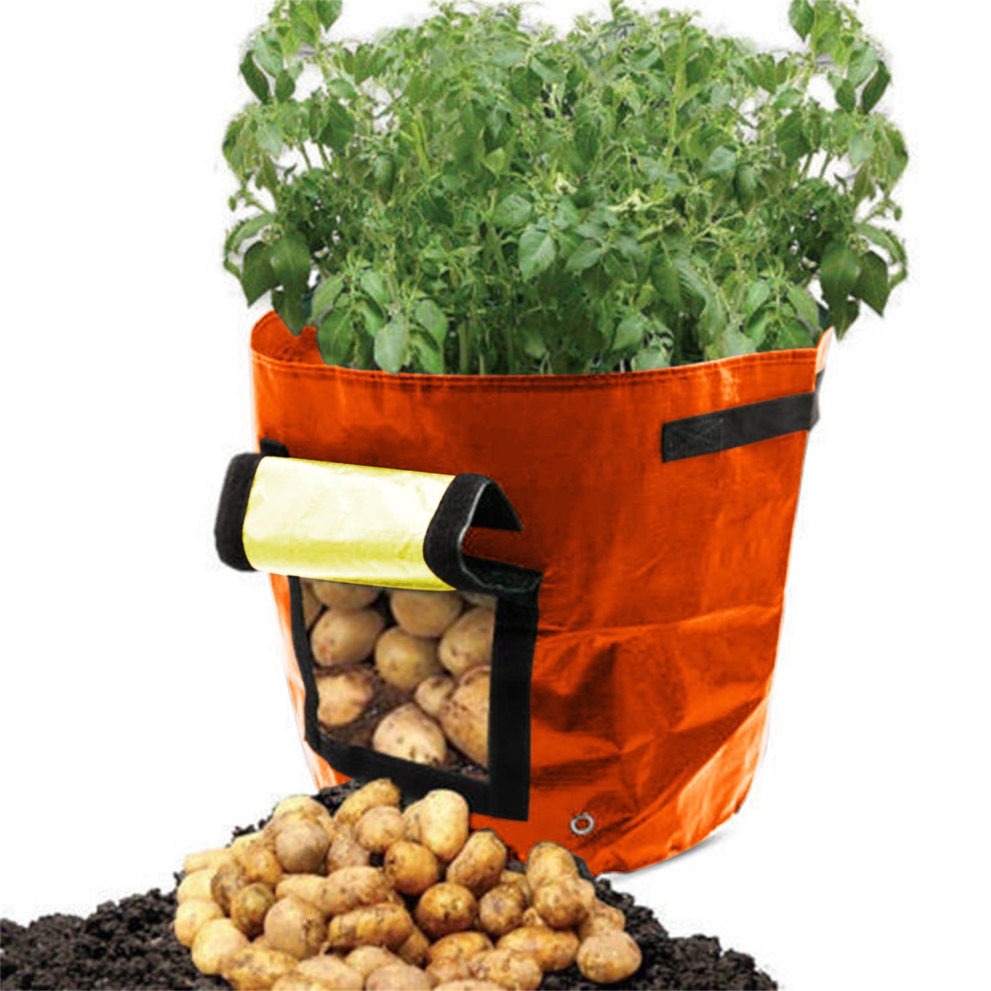 Suncoda Summer Savings 34x35cm Potato Grow Bag with Side Window & Handles 13" x 14" Yellow#1