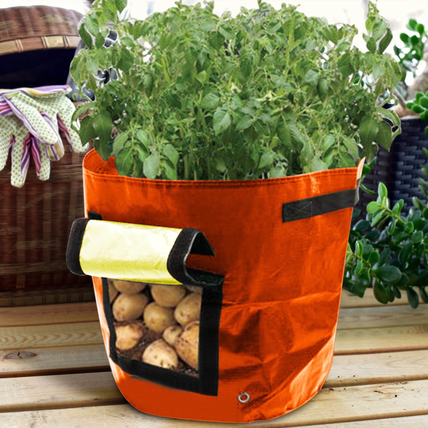 Suncoda Summer Savings 34x35cm Potato Grow Bag with Side Window & Handles 13" x 14" Yellow#1